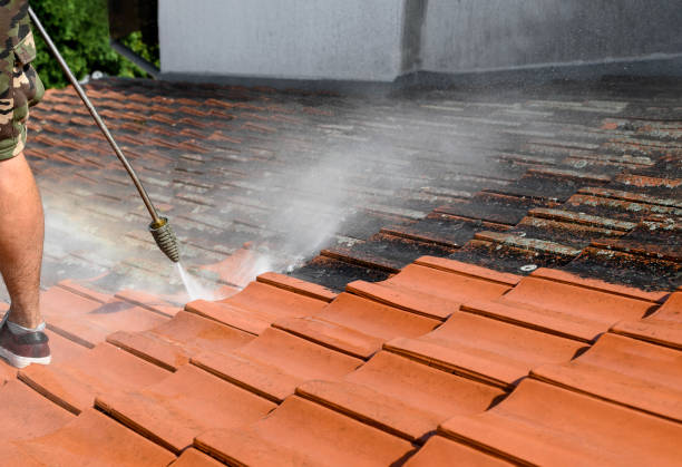 Best Power Washing Near Me  in Lorado City, CO
